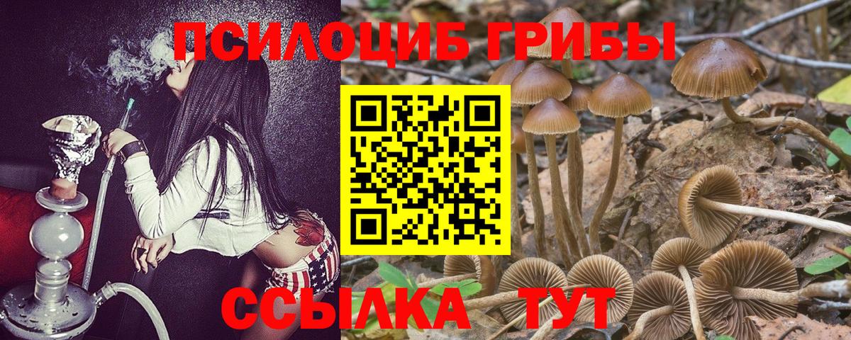 Галлюциногенные грибы MAGIC MUSHROOMS  Псилоцибиновые грибы ЛСД  Петрозаводск  Вход с VPN 
